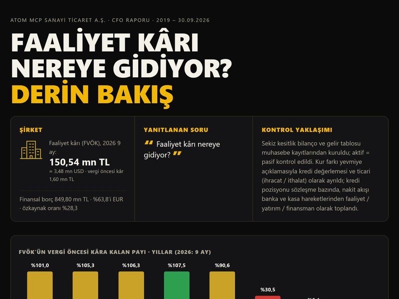 Finansa Derin Bakış (demo firma)