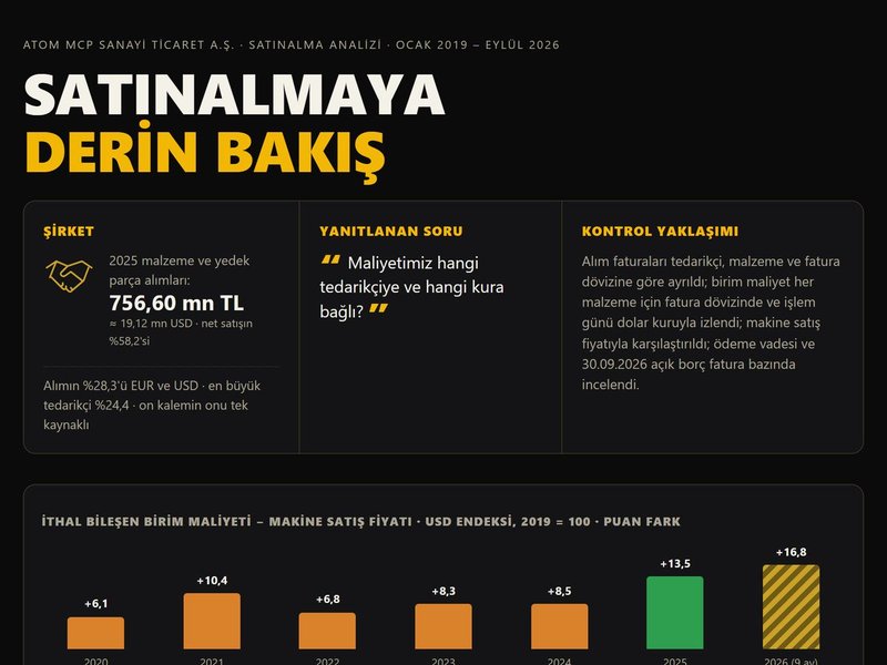 Satınalmaya Derin Bakış (demo firma)